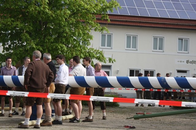 Maibaum 2013